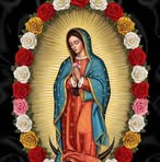Amparo Avila - Facebook