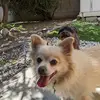 amparoavila5 - @amparoavila5 - TikTok