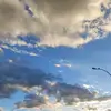 amparomorgan - @amparomorgan - TikTok