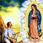 Amparo Quevedo - Facebook