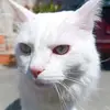 Amparo Quevedo - @amparoquevedo825 - TikTok