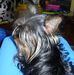 Amparo Villar Suero - Facebook