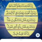 Amr Alkhateeb - @amr.alkhateeb.908 - Instagram
