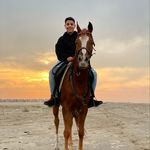 Amr Nasr - @amr_nasr.1 - Instagram