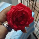 Amran Ali - @amran_ali123 - Instagram