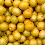 Amran Ali - @amranali4208 - Instagram