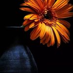 amran Hussein - @amranhussein57 - Instagram