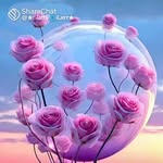 __amrik_chand__ - @__amrik_chand__ - Instagram