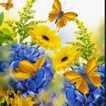 Amrik Chand - @amrik_chand - Instagram