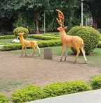 Amrit Lal - Facebook