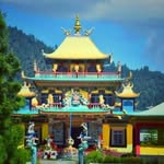 Amrit Tamang - @_its_dimple_boy_16 - Instagram