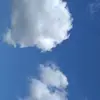 Amrita Kaur - @amritakaur_ - TikTok