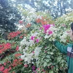 Amrita Mallick - @amrita.mallick.12979 - Instagram