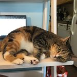 Amy Abramson - @amyabramson - Instagram