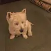 Amy Adcock - @amy.loves.musica.ly - TikTok