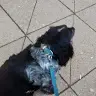 Amy Adcock - @user400312867 - TikTok
