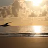 Amy Agee Reid - @amy.agee.reid - TikTok