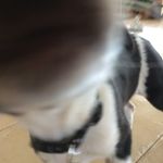 Amy Ahearn - @a.ahearn - Instagram
