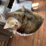 Amy Ahearn - @amy70810 - Instagram