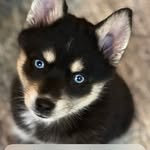 Amy Ahearn - @amyl72762 - Instagram