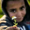 amy aho - @amy.aho - TikTok
