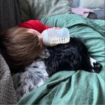 Amy Aldrich - @aldricha2017 - Instagram