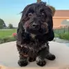 Amy - @amy.applegate - TikTok