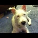 Amy Applegate - @sasapple - Instagram
