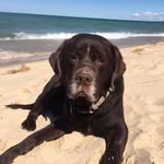 Amy Applegate - @aapplega2 - Instagram