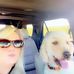 Amy Applegate - Facebook