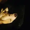 amyarnell62 - @amyarnell62 - TikTok