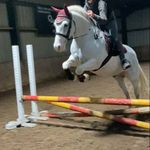 Amy-Leigh Smith - @amy_arthur2008 - Instagram