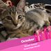 Amy Aschenbrenner - Facebook