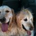 Amy Ashman - Facebook