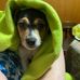 Amy Askew - Facebook