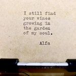 Amy Atwell - @amyatwell778 - Instagram