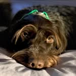 Amy Ault Schaefer - @aschae15 - Instagram