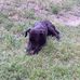 Amy Baeza - Facebook