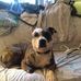 Amy Baldwin - Facebook