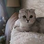 Amy Baron - @baron8879 - Instagram
