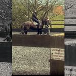 Amy Barrow - @barrowamy30 - Instagram