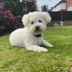 Amy Barrow - Facebook