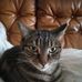 Amy Barthelemy - Facebook