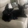 Amy Baumler - @amy.baumler - TikTok