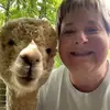 amybeall572 - @amybeall572 - TikTok