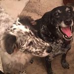 Amy K Beasley - @amybeasley1955 - Instagram