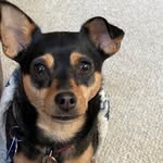 Amy Becker - @the_geej_67 - Instagram