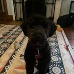 Amy Becker - @the_dash_dean - Instagram