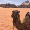 Amy Becker - @amy__becker - TikTok