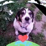 Amy Becker - Facebook